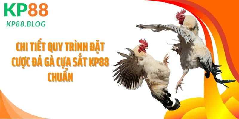 Chi tiết quy trình đặt cược đá gà cựa sắt KP88 chuẩn